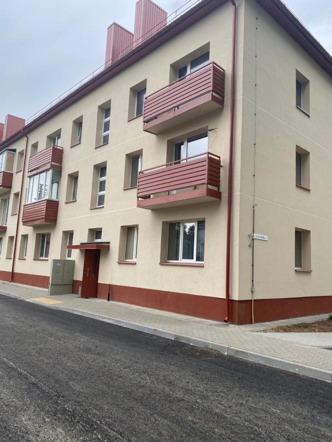 Studio Flat In Kėdainiai מראה חיצוני תמונה